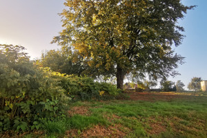 Działka na sprzedaż - zdjęcie 3