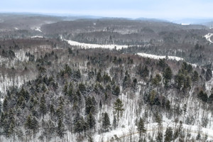 Działka na sprzedaż Ch. Braemar, Gore, QC J0V1K0, CA - zdjęcie 3