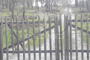 Działka na sprzedaż Santarm Coruche Branca - zdjęcie 3