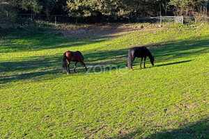 Dom na sprzedaż 257m2 Braga Cabeceiras de Basto - zdjęcie 2