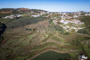 Dom na sprzedaż 963m2 Porto Felgueiras - zdjęcie 3