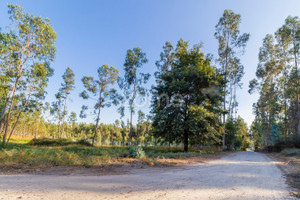 Działka na sprzedaż Porto Santo Tirso - zdjęcie 2