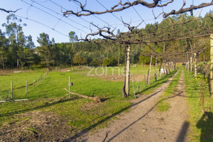 Działka na sprzedaż Braga Vila Nova de Famalicao - zdjęcie 3