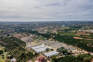 Działka na sprzedaż Faro Silves - zdjęcie 3