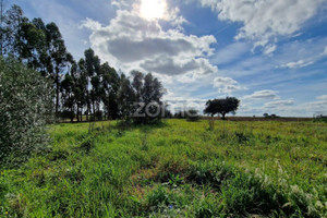 Dom na sprzedaż 120m2 Beja Ferreira do Alentejo - zdjęcie 2