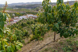 Działka na sprzedaż Andaluzja Malaga ARROYO MONEDA - zdjęcie 3