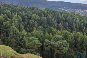 Działka na sprzedaż Madera Santa Cruz - zdjęcie 1