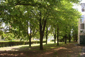 Dom na sprzedaż 1000m2 Eger - zdjęcie 3