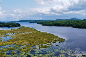 Działka na sprzedaż Ch. du Lac-Brompton, Orford, QC J1X6L7, CA - zdjęcie 2