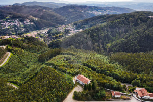 Komercyjne na sprzedaż 487m2 - zdjęcie 1