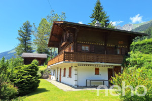 Dom na sprzedaż 230m2 Les Diablerets - zdjęcie 3