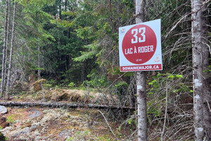 Działka na sprzedaż 33 Ch. du Lac-à-Roger, Notre-Dame-de-Pontmain, QC J0W1S0, CA - zdjęcie 4