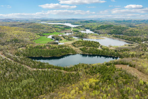 Działka na sprzedaż 33 Ch. du Lac-à-Roger, Notre-Dame-de-Pontmain, QC J0W1S0, CA - zdjęcie 3