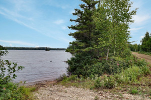 Działka na sprzedaż Ch. des Trois-Baies, Sainte-Monique, QC G0W2T0, CA - zdjęcie 1