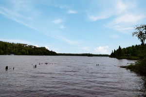 Działka na sprzedaż Ch. des Trois-Baies, Sainte-Monique, QC G0W2T0, CA - zdjęcie 2