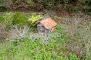 Działka na sprzedaż Madera Santa Cruz Santo António da Serra - zdjęcie 2