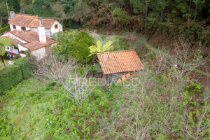 Działka na sprzedaż Madera Santa Cruz Santo António da Serra - zdjęcie 3