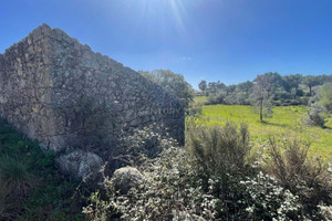 Działka na sprzedaż Castelo Branco Castelo Branco - zdjęcie 1