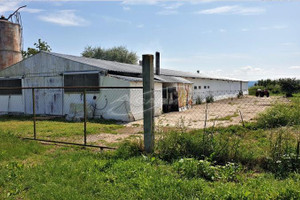 Komercyjne na sprzedaż 900m2 с. Славяни/s. Slaviani - zdjęcie 3