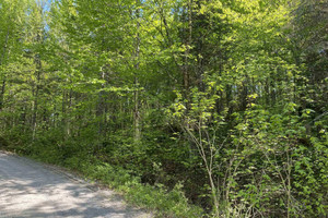 Działka na sprzedaż 1er chemin du Lac-Bouchard, Sainte-Rose-du-Nord, QC G0V1T0, CA - zdjęcie 3