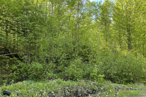 Działka na sprzedaż 1er chemin du Lac-Bouchard, Sainte-Rose-du-Nord, QC G0V1T0, CA - zdjęcie 2