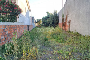 Działka na sprzedaż Aveiro Oliveira do Bairro - zdjęcie 3