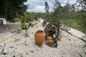 Działka na sprzedaż Aveiro Oliveira do Bairro - zdjęcie 1