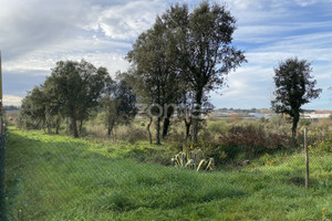 Działka na sprzedaż Aveiro Oliveira do Bairro - zdjęcie 1