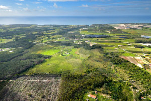 Dom na sprzedaż 127m2 - zdjęcie 2