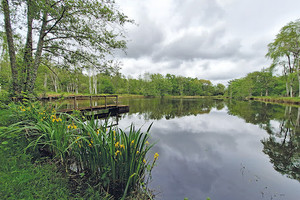 Dom na sprzedaż 410m2 - zdjęcie 2