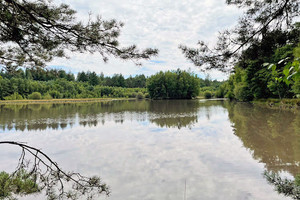 Dom na sprzedaż 400m2 - zdjęcie 3