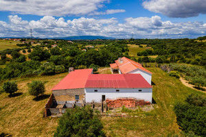 Dom na sprzedaż 660m2 - zdjęcie 3