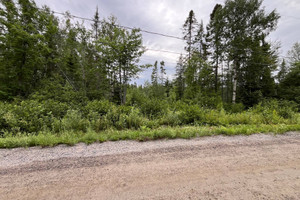 Działka na sprzedaż Ch. Bouchard, Lac-Kénogami, QC G7X7V6, CA - zdjęcie 1