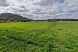 Działka na sprzedaż 22500m2 - zdjęcie 2