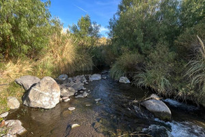 Komercyjne na sprzedaż 250m2 Punta del Agua - zdjęcie 3