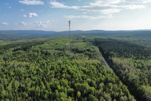 Działka na sprzedaż Ch. de la Perdrix, Témiscouata-sur-le-Lac, QC G0L1E0, CA - zdjęcie 2