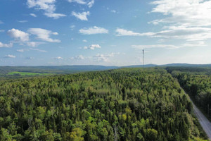 Działka na sprzedaż Ch. de la Perdrix, Témiscouata-sur-le-Lac, QC G0L1E0, CA - zdjęcie 3