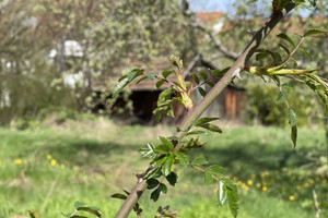 Działka na sprzedaż - zdjęcie 1