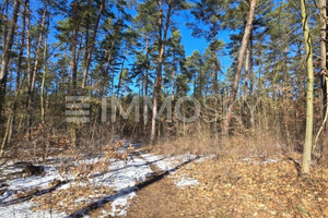 Działka na sprzedaż Grüner Weg - zdjęcie 2