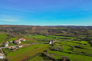 Dom na sprzedaż 387m2 - zdjęcie 3