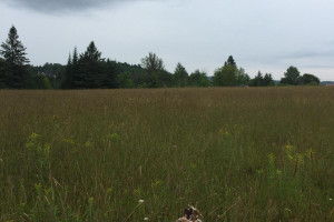 Działka na sprzedaż Route 309, Notre-Dame-de-la-Salette, QC J0X2L0, CA - zdjęcie 3