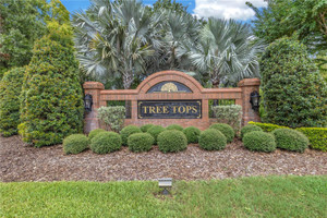 Dom na sprzedaż 343m2 9818 Tree Tops Lake Road, Hillsborough County, FL - zdjęcie 2