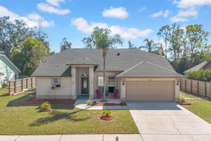 Dom na sprzedaż 278m2 9720 Glenpointe Drive, Hillsborough, FL - zdjęcie 1