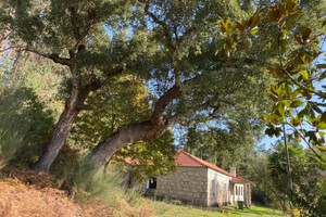 Działka na sprzedaż Viseu Viseu Caminho Da Oliveirinha, Moinhos - zdjęcie 3