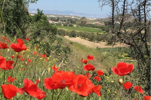 Działka na sprzedaż Analiontas Village Nicosia Cyprus - zdjęcie 1