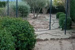 Komercyjne na sprzedaż 160m2 Walencja Alicante Paraje Las Beatas Salinas,Sax Alicante Paraje Las Beatas  - zdjęcie 2