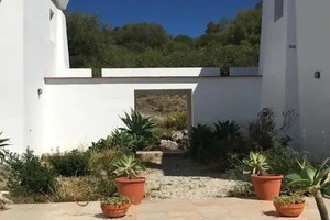 Komercyjne na sprzedaż 650m2 Andaluzja Malaga La Hoya  La Hoya  - zdjęcie 3