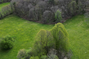 Działka na sprzedaż - zdjęcie 2