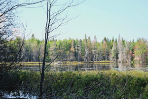 Działka na sprzedaż 3306 Route du Peintre, Saint-Léandre, QC G0J2V0, CA - zdjęcie 3