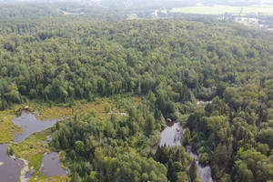 Działka na sprzedaż Route 309 S., Ferme-Neuve, QC J0W1C0, CA - zdjęcie 2